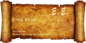 Erni Erik névjegykártya